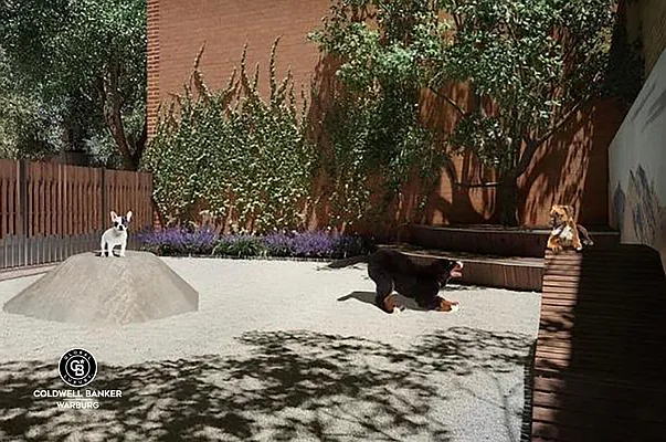 Rented by Coldwell Banker Warburg | media 19