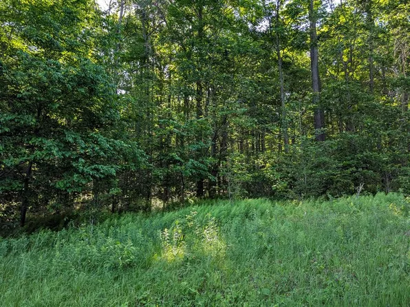 0 Neefe Rd, Coudersport, PA 16915