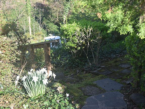 Steps leading to lower level