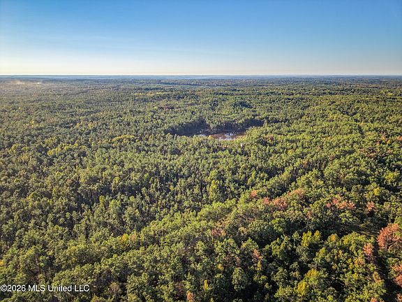 4th image of 2000 Deer Creek Rd