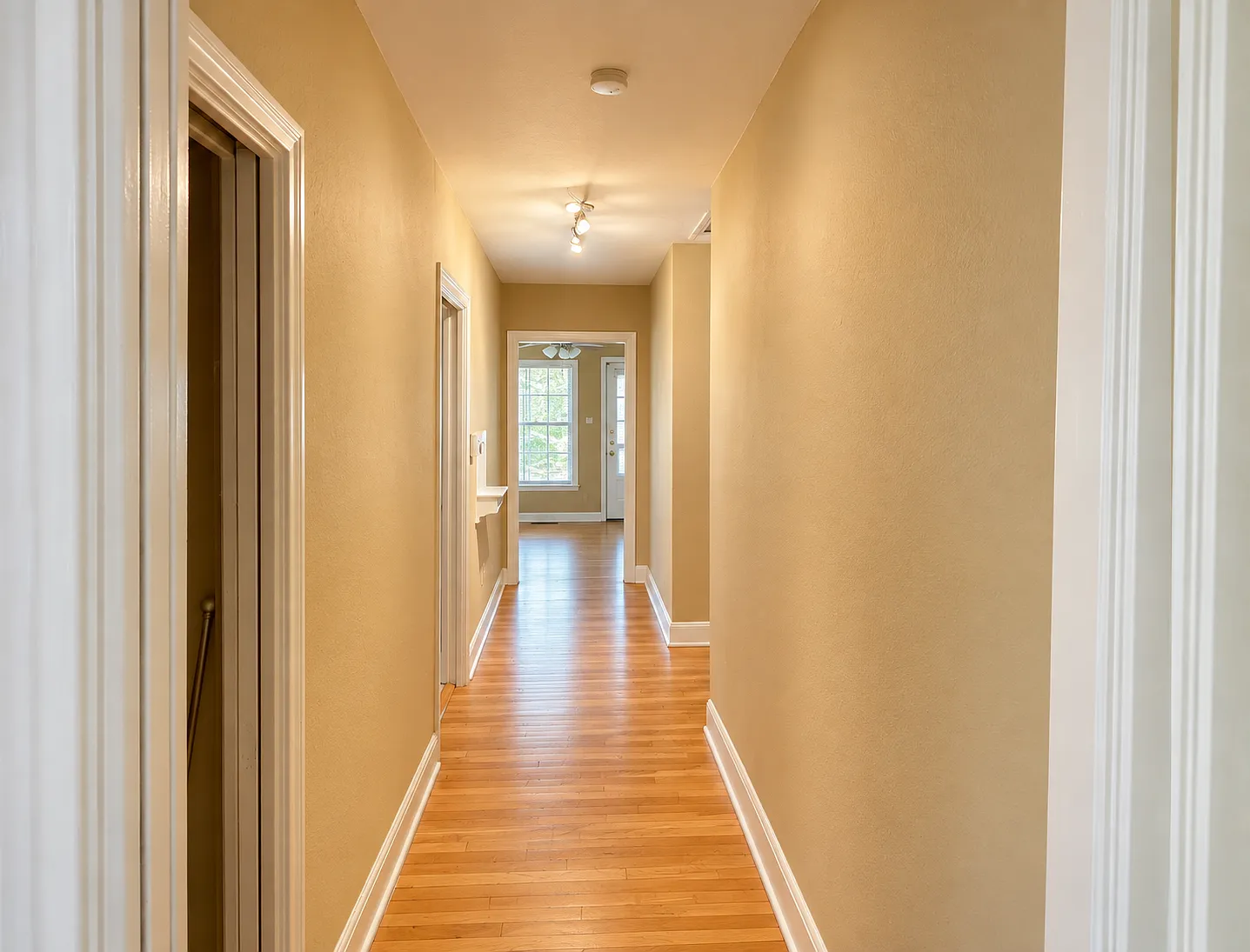 1907 David St — Photo 3