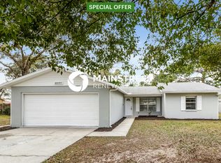 3217 Bluestone Ave, Spring Hill, FL 34609