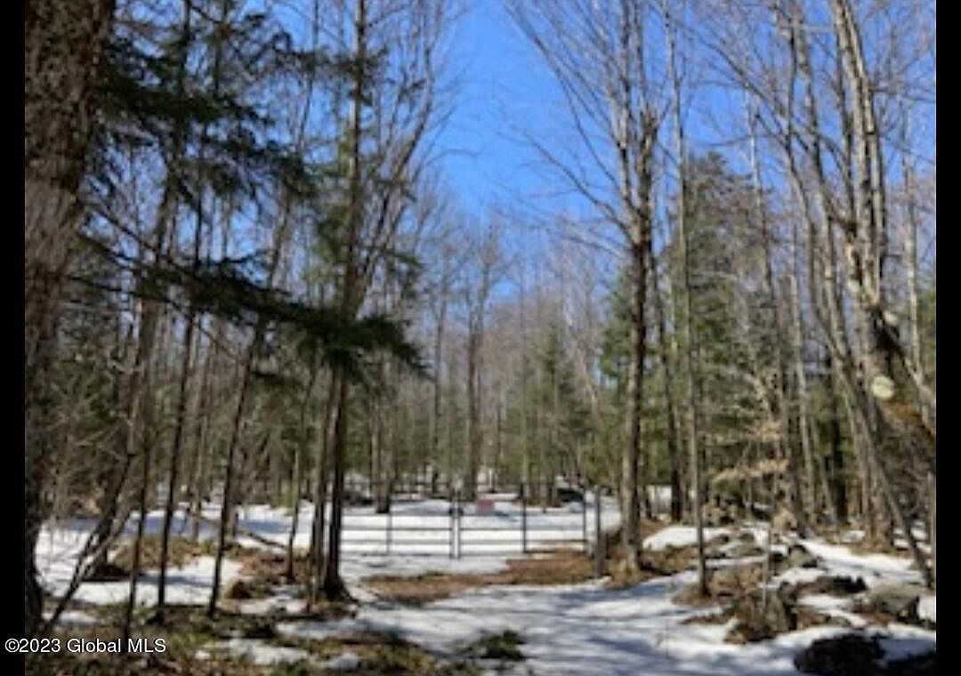 L17 Bingo Road, Saint Regis Falls, NY 12980 MLS 202314547 Zillow