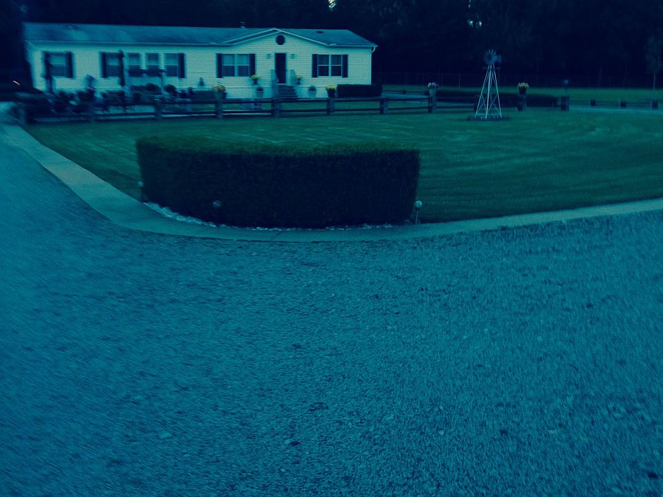 Green beautiful lawn