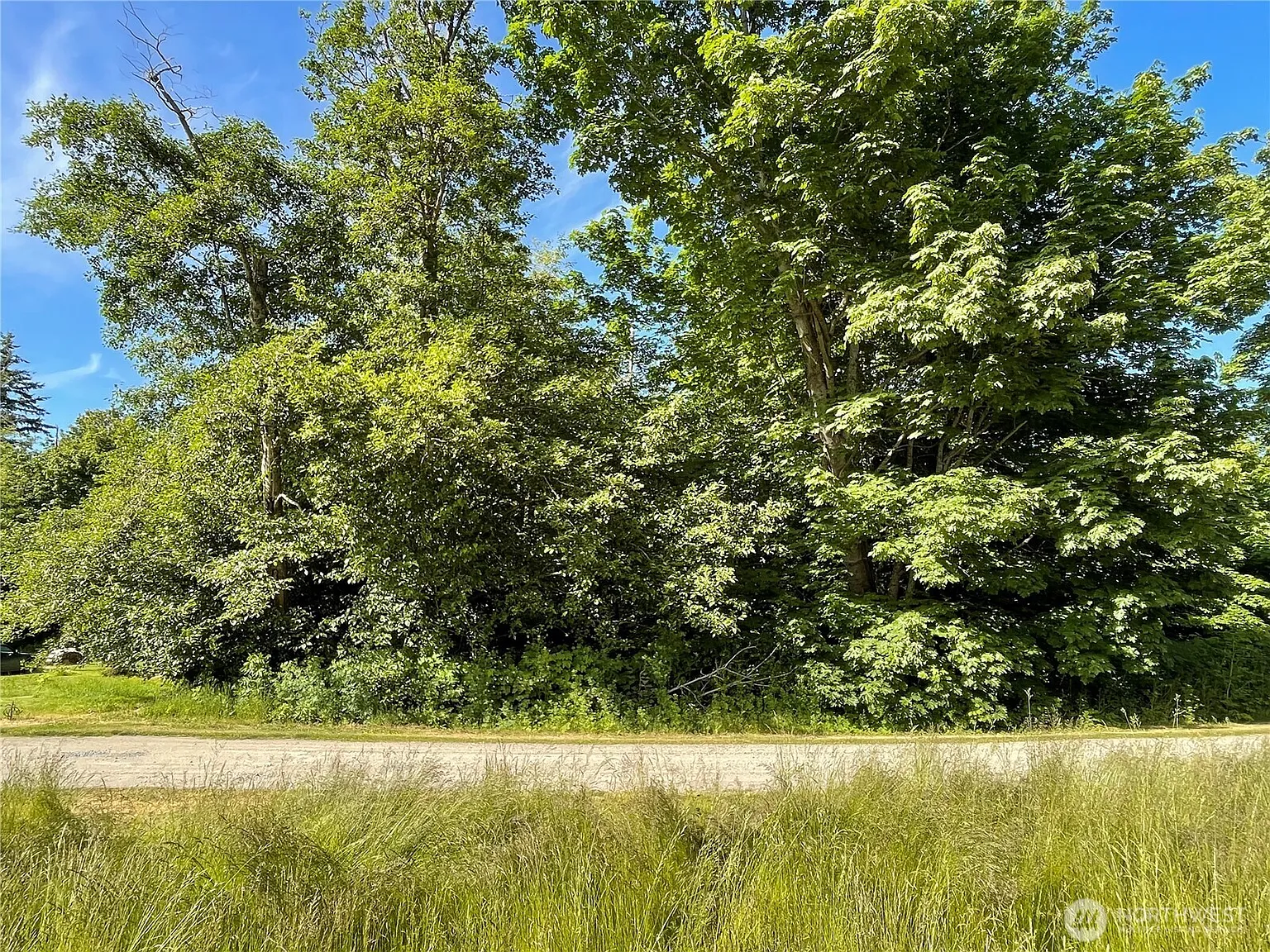97 F Tulalip Way photo 1