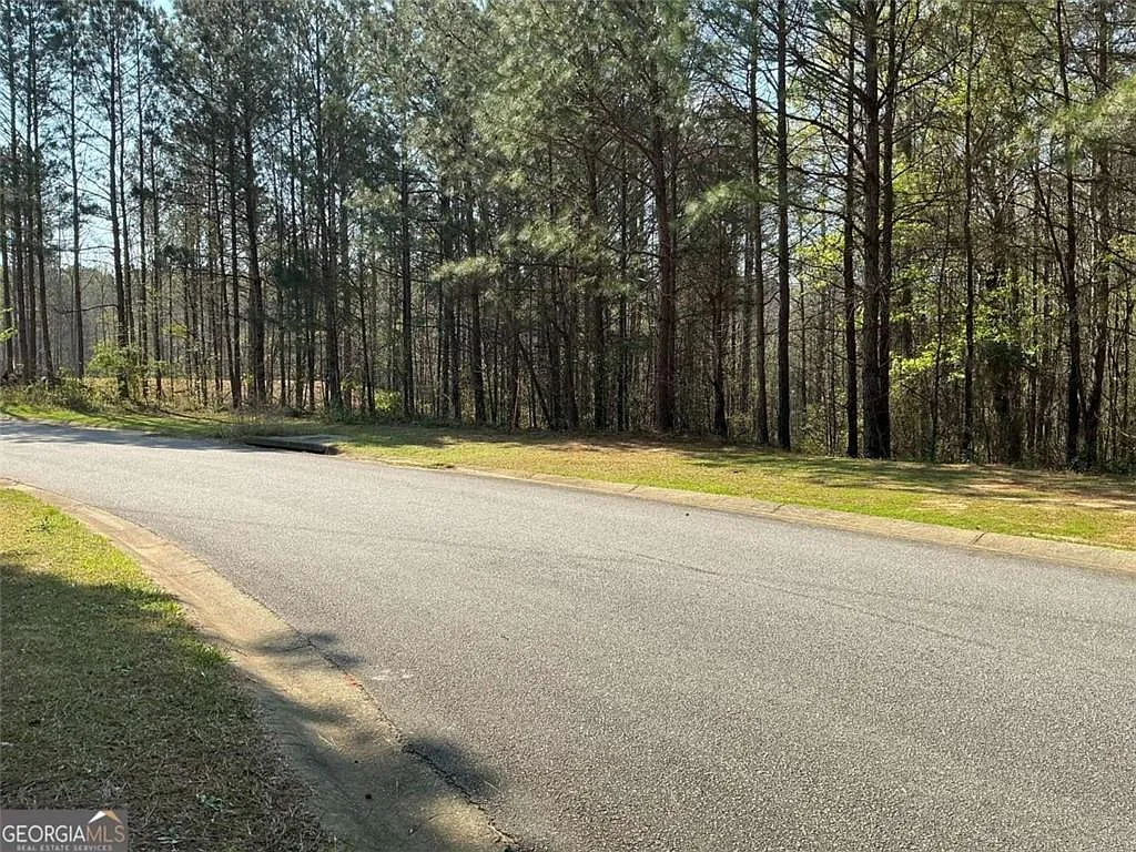 262 White Creek Loop #64-65 photo 1