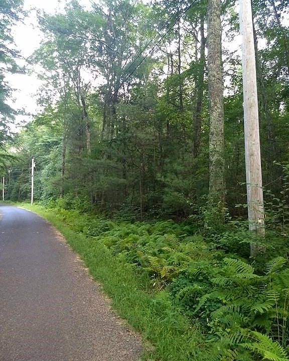 2nd image of Lyman Rd