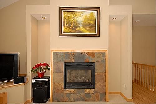 Gas Fire Place