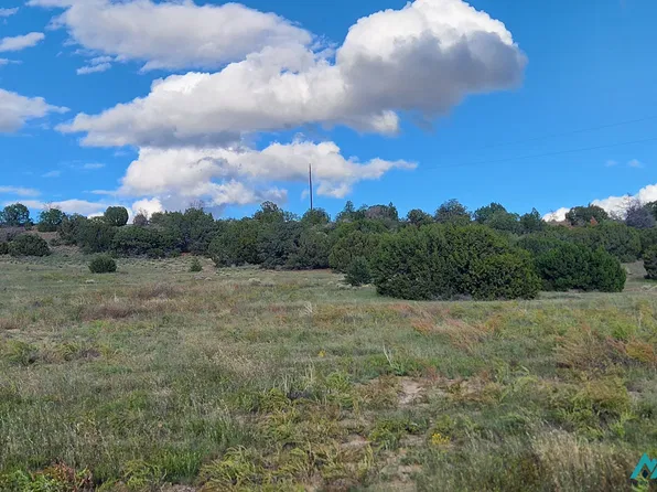 306 Deer Cir #196, Quemado, NM 87829