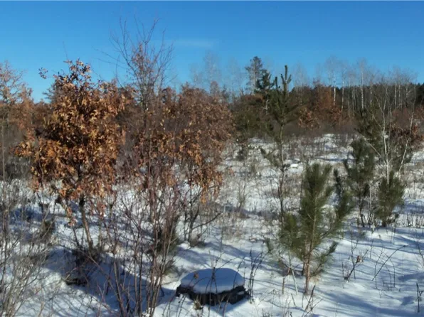 Lots 11&12 Pine Tree Trail, Springbrook, WI 54875