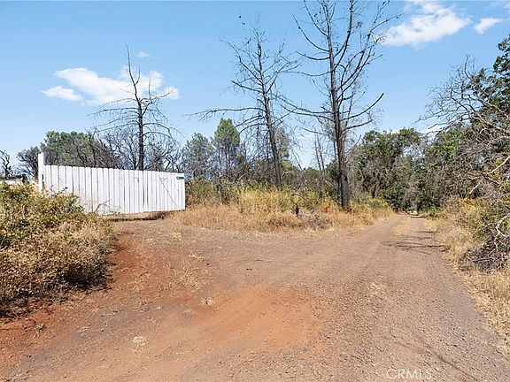 2nd image of 49 Bear Paw Rd