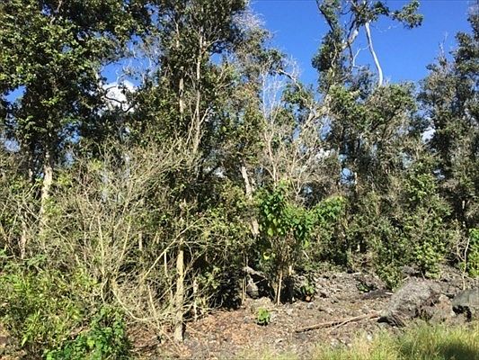 2nd image of Cocoanut Dr Lot 31