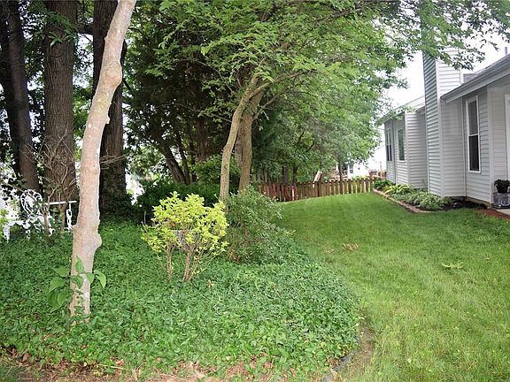 Peaceful back yard