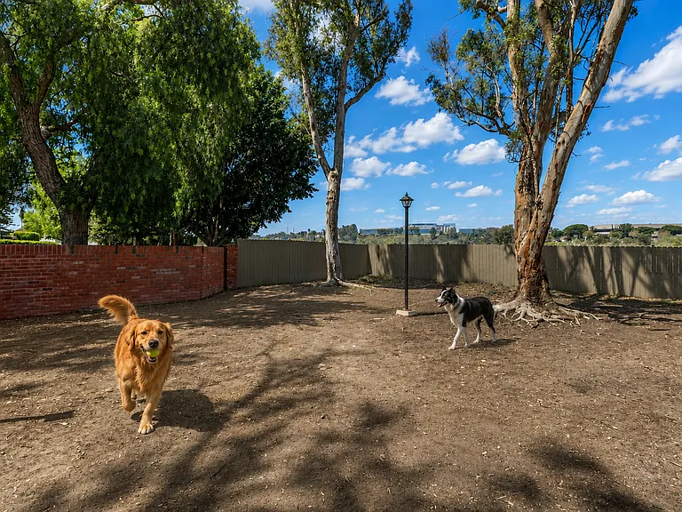 Tierrasanta Ridge — Photo 8