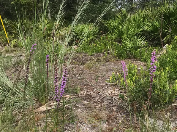 0 SUMMIT Road, Satsuma, FL 32189