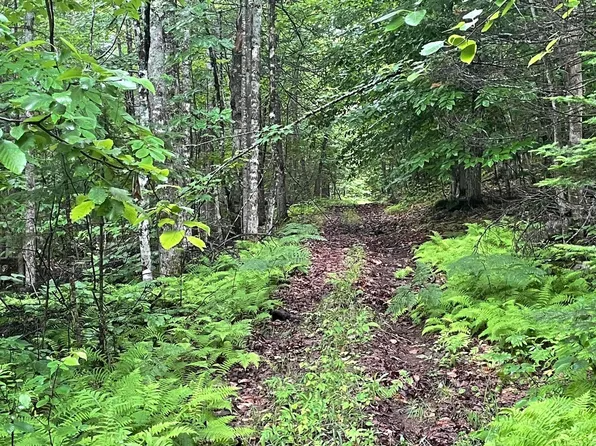 3.2 Mayhew Road, Starks, ME 04911