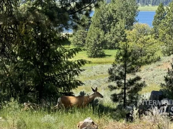 329 Lone Pine Dr, Cascade, ID 83611