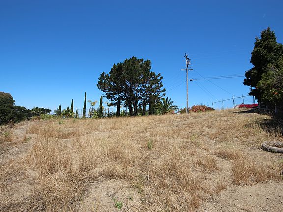 5th image of Arbutus Ct