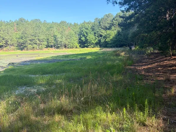 Tbd Jones Spring Church Road, Ellerbe, NC 28338