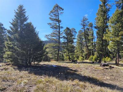 Nhn Elk Horn LOT 28, Helmville, MT, 59843