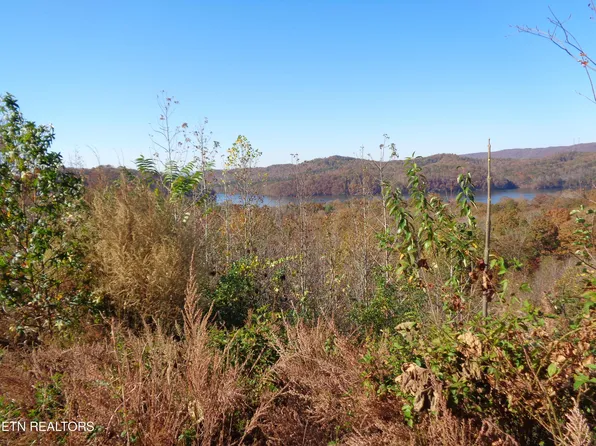 Twin Feathers Dr, Rockwood, TN 37854