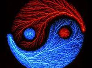 16688 Stonefield, Montgomery, TX 77316