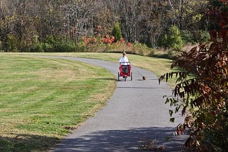 Beautiful Greenways
