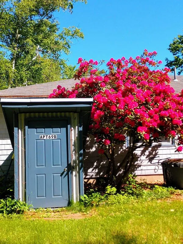 1 bed, 1.0 bath, 600 sqft, $1,500 — Photo 1