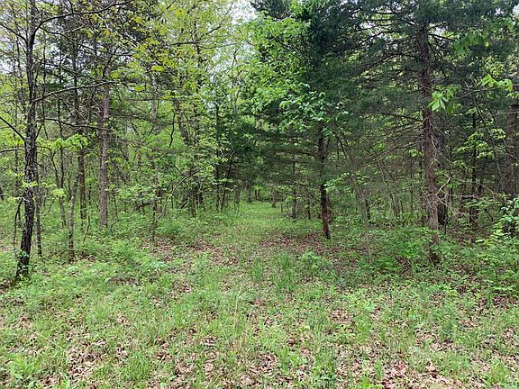 5th image of 0 Dogwood Ln