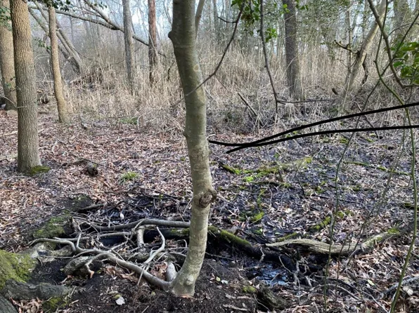 17-18 Cherry Rd #53, Bayville, NJ 08721