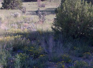 0 Hilburn Ct, Edgewood, NM 87015