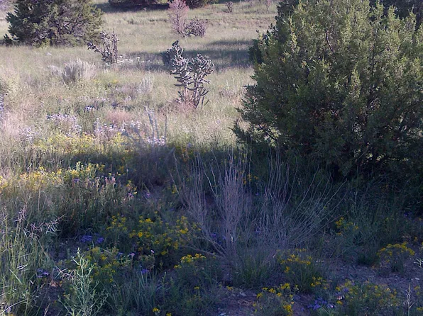0 Hilburn Ct, Edgewood, NM 87015