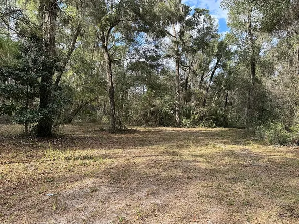 22422 NW 91st Court Rd, Micanopy, FL 32667