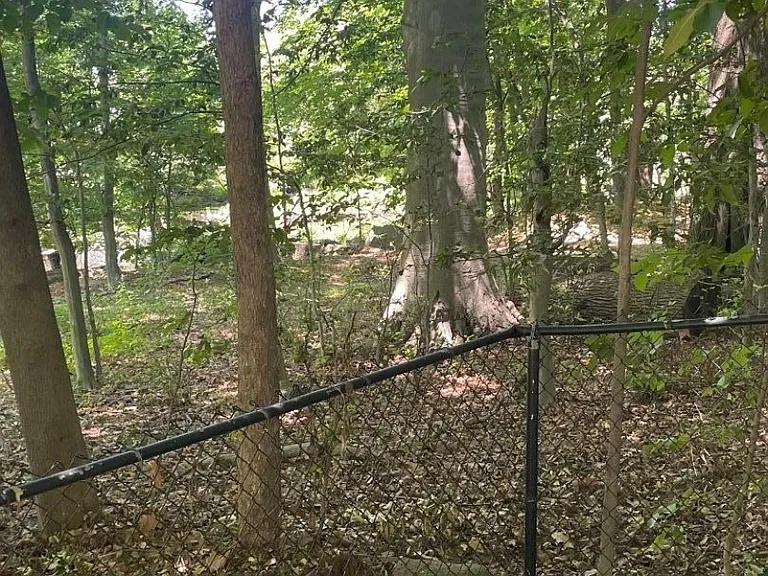 55 Garden Ave #1 — Photo 29