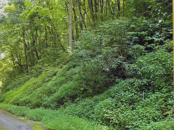28 Black Walnut Flats Rd Lot 28, Sevierville, TN 37862