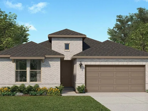 Stephanie Plan, The Canopies