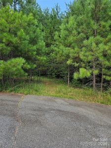 0 Pumkin Patch Rd, Rutherfordton, NC, 28139