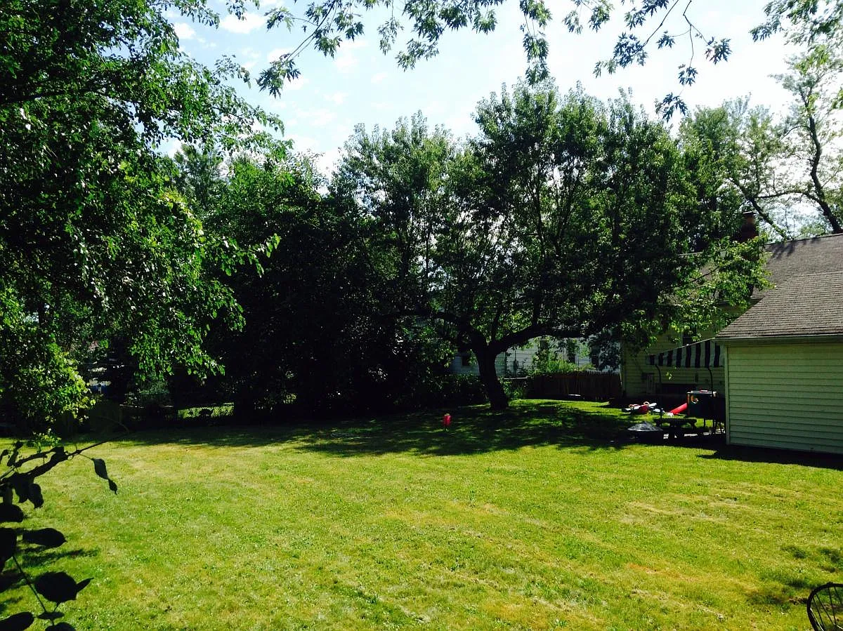 3 bed, 1.5 bath, 1254 sqft, $2,450 — Photo 4