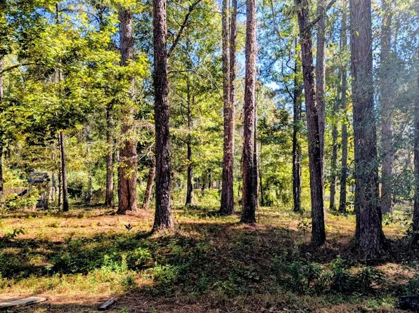 0 Norrell Dr, Petal, MS 39465