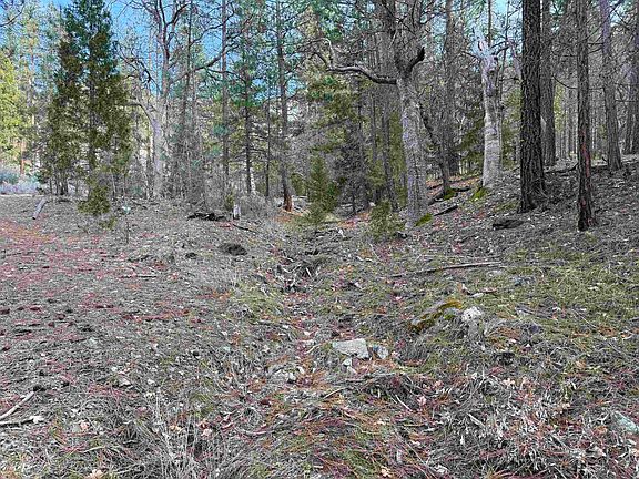 3rd image of 0 Moffett Creek Rd