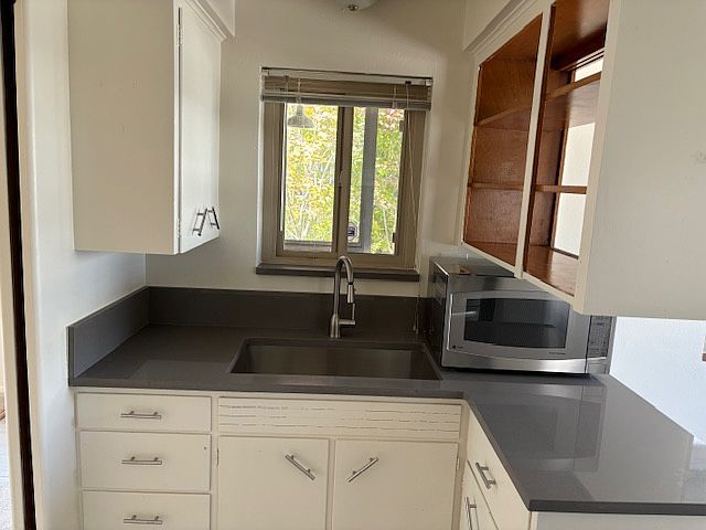 New sink and microwave.
