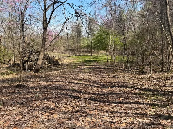 LOT 4 Wonder Ln, New Market, TN 37820