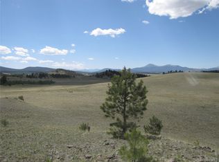 499 Saddle Horn Rd, Hartsel, CO 80449