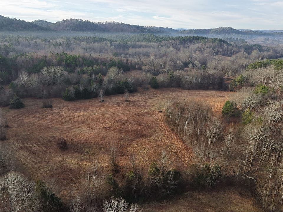 Dji 20260107083805 0295 D