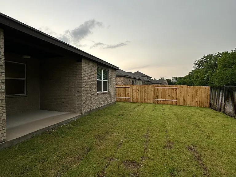 Backyard