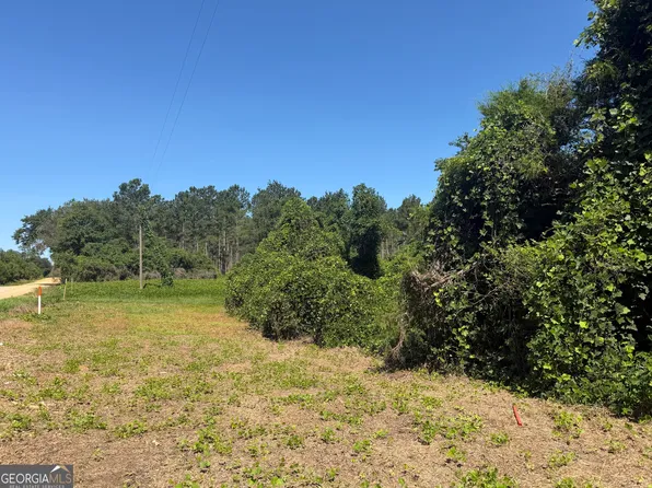 006H Wallace Buie Rd, Webb, AL 36376