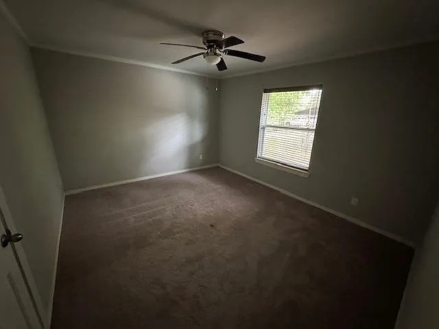 506 Peterson Rd — Photo 6
