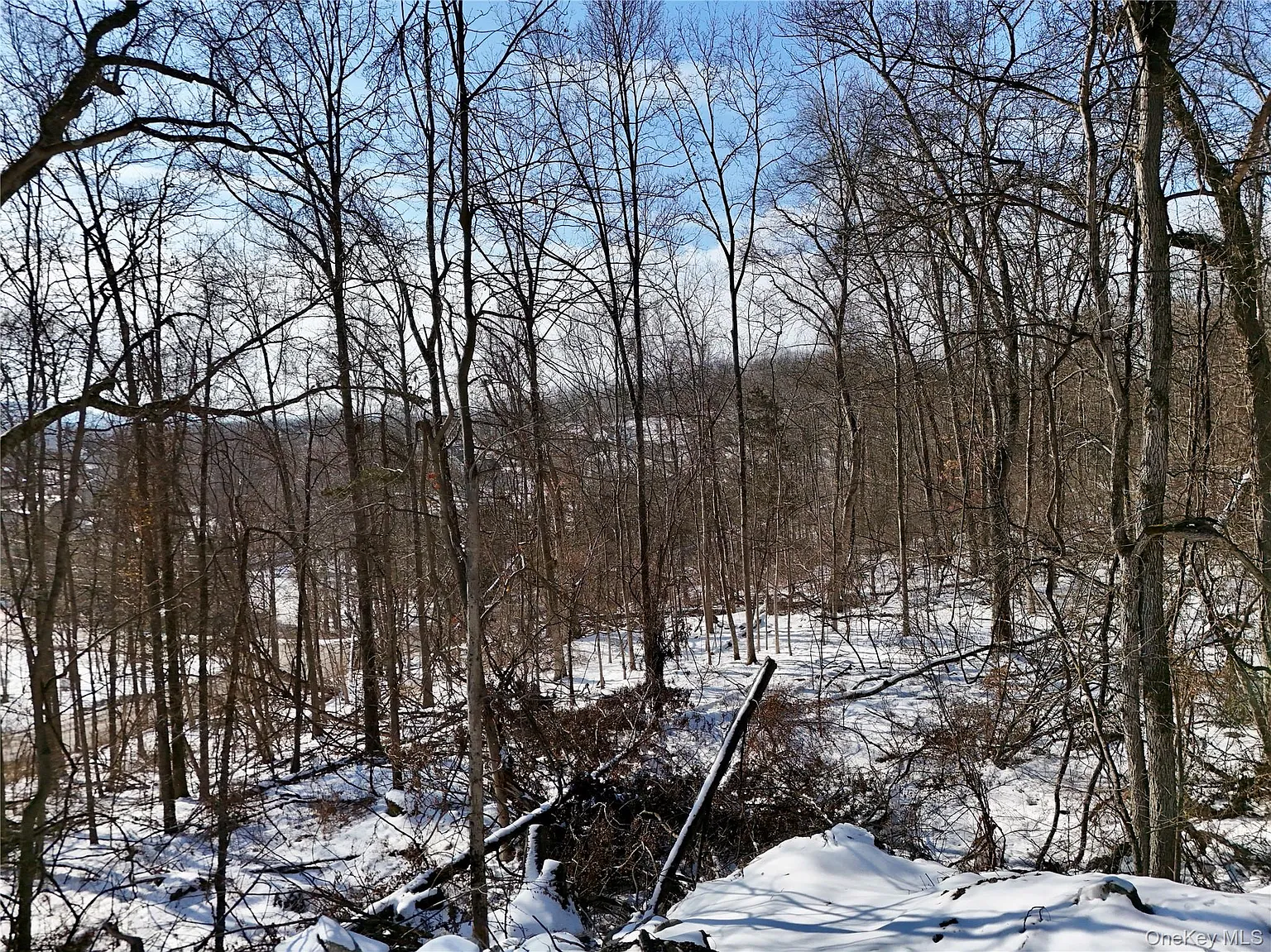 TBD County Route 12 photo 1