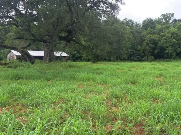 476 Petite Prairie Rd, Washington, LA 70589