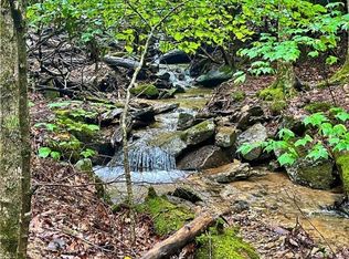 169 Raccoon Rd, Banner Elk, NC 28604